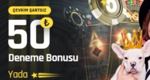 bet turkey giriş