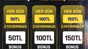 betturkey 132 giriş yap