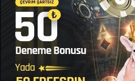 bet turkey 133 yeni giriş